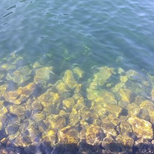 Meet your Posher, Edward